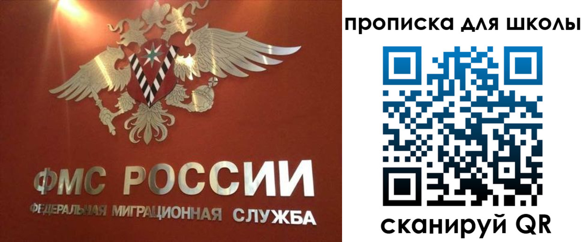 прописка от собственника в Зеленоградске
